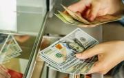 Img default alt hy