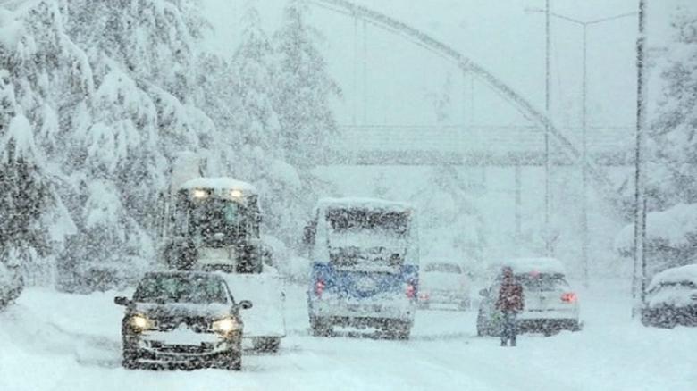 Img default alt hy
