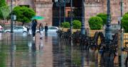 Img default alt hy